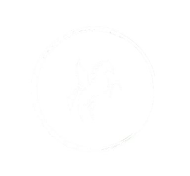 Pegasus Ignite